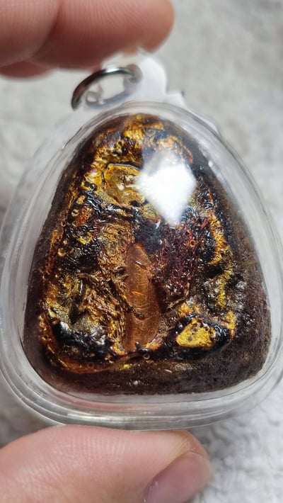 萬噴膏必達佛 必打  婆康瑪  婆康迪 25543