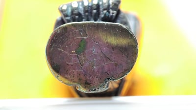 龍婆初 第一期貓頭鷹 偏財 招財 猛5