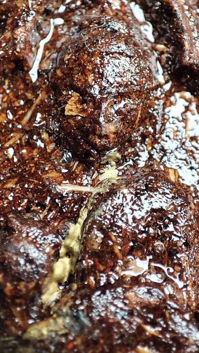 婆吞活 第一期坤平抱雞3