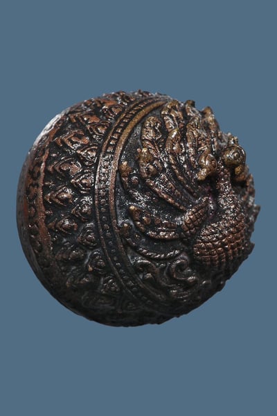 第一期三頭孔雀路翁 古巴烏維金塔薩拉3