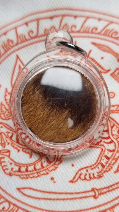 帕阿贊塔納空 婆難鄧 蛇煙 捨贏 擋小人 增權威 招財　 帕阿贊塔納功2