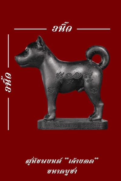 龍婆伴 2566  第五期狗狗7