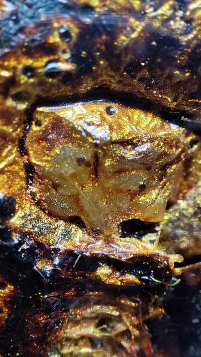 萬噴膏必達佛 必打  婆康瑪  婆康迪 255411