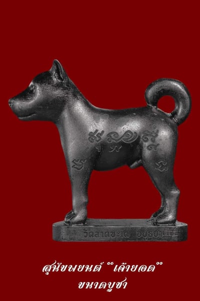 龍婆伴 2566  第五期狗狗5