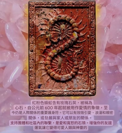 龍婆瓦林 百足蜈蚣抽抽包11