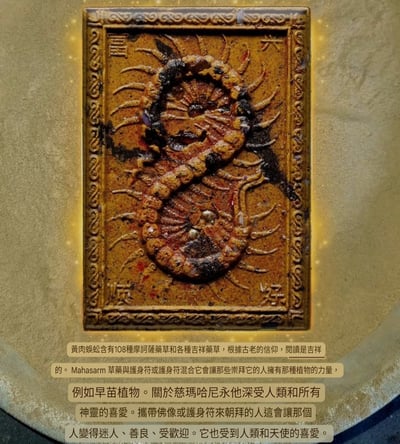 龍婆瓦林 百足蜈蚣抽抽包16