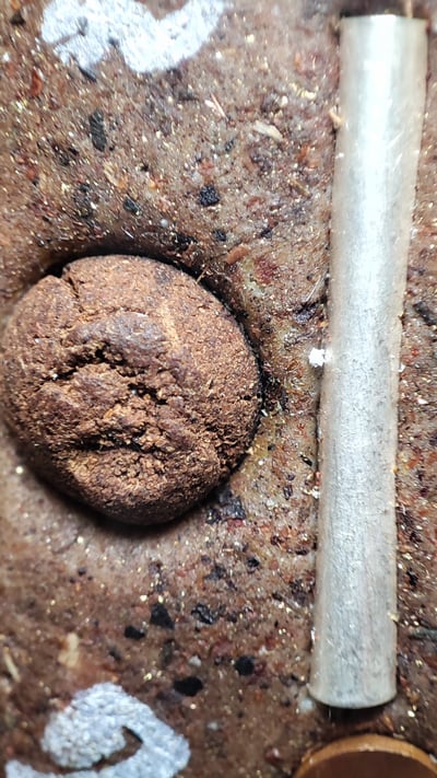 帕阿贊塔納功 帕阿贊度尬  2568 批蛇奴轎清鑾（黃金佛祖）3