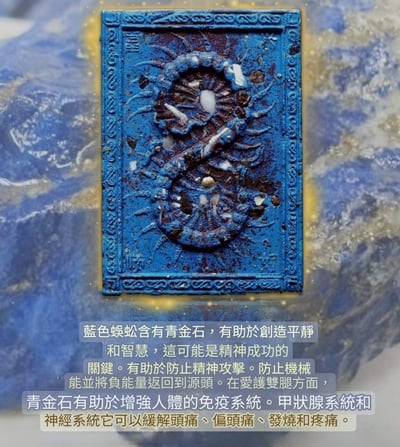 龍婆瓦林 百足蜈蚣抽抽包14