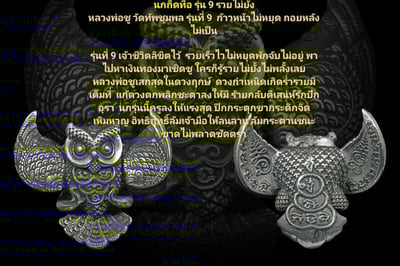 龍婆初 第九期貓頭鷹4