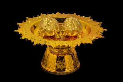 帕固伴－帕也逗襟　大財龜2