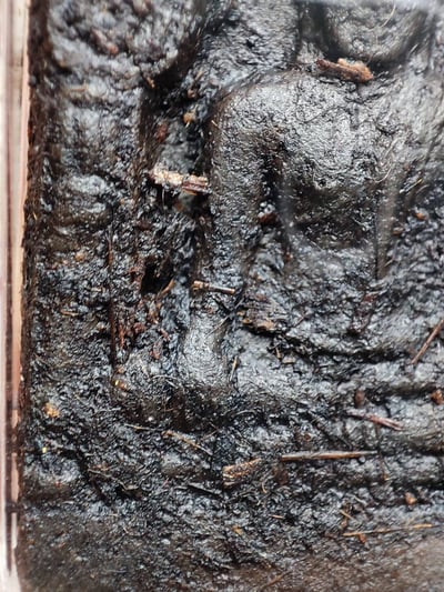 婆康瑪2544坤平 萬噴膏  婆康喬5