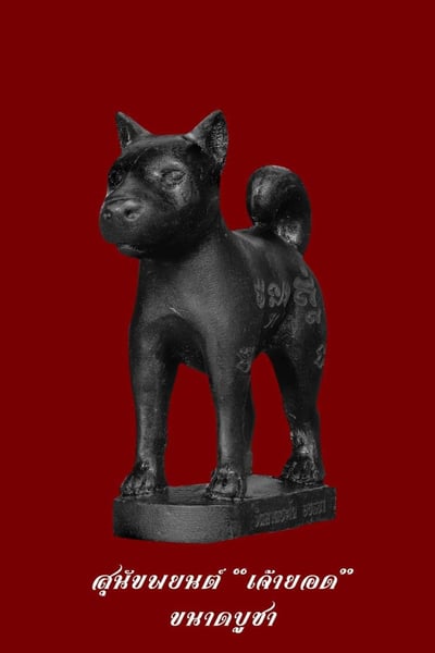 龍婆伴 2566  第五期狗狗8