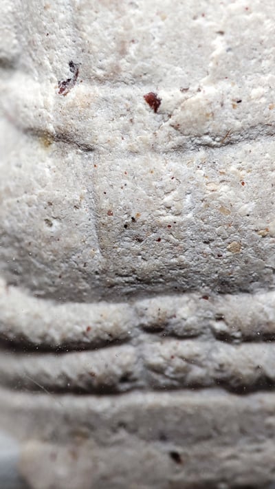 阿贊豐坐尊 龍婆奔翠 阿贊白雍 阿贊白玉6