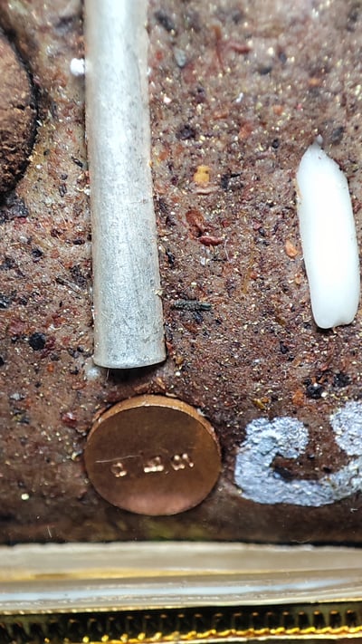 帕阿贊塔納功 帕阿贊度尬  2568 批蛇奴轎清鑾（黃金佛祖）4