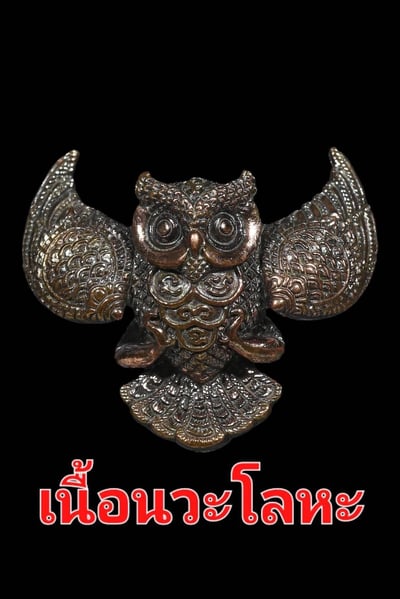 龍婆初 第九期貓頭鷹7