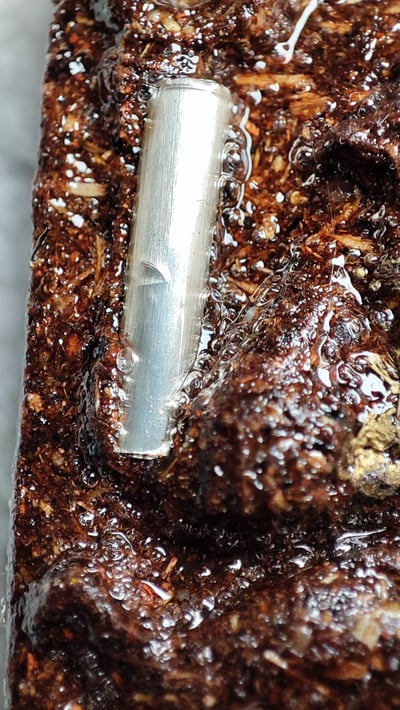 婆吞活 第一期坤平抱雞5