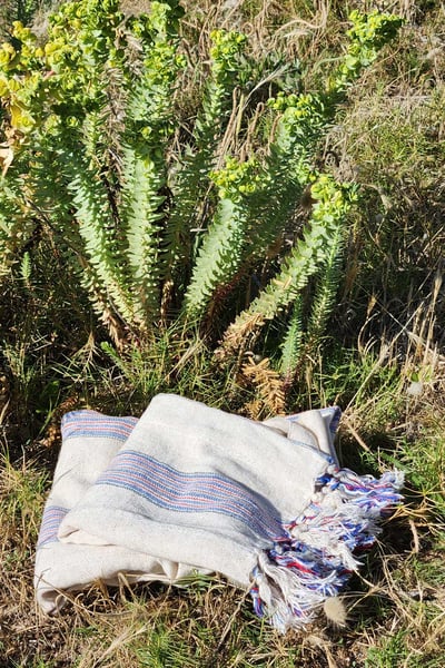 Peştamal 手工毯8