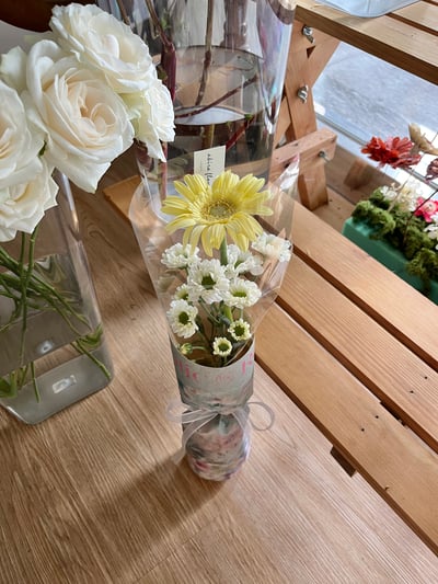 🌼 彩色非洲菊油畫質感花束(不挑色）🌼 Flower Gift5