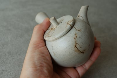 平印籠蓋白藻掛【伊藤成二】12