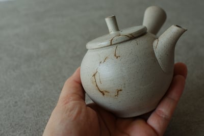 平印籠蓋白藻掛【伊藤成二】13