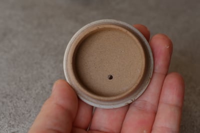 平印籠蓋白藻掛【伊藤成二】10