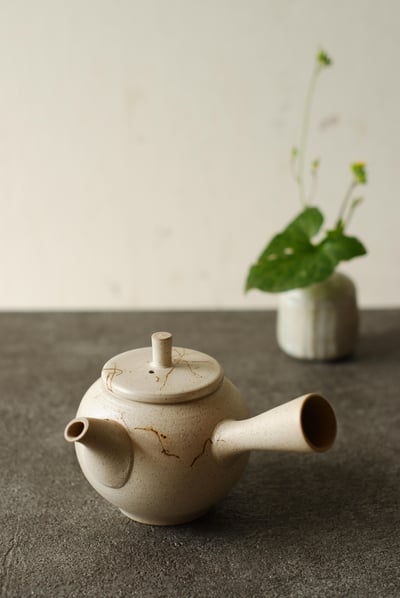 平印籠蓋白藻掛【伊藤成二】1