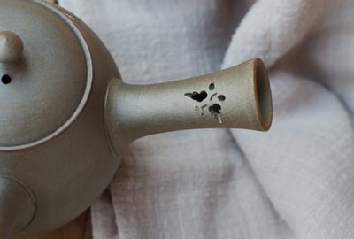 印花胡蝶【都築青峰】8