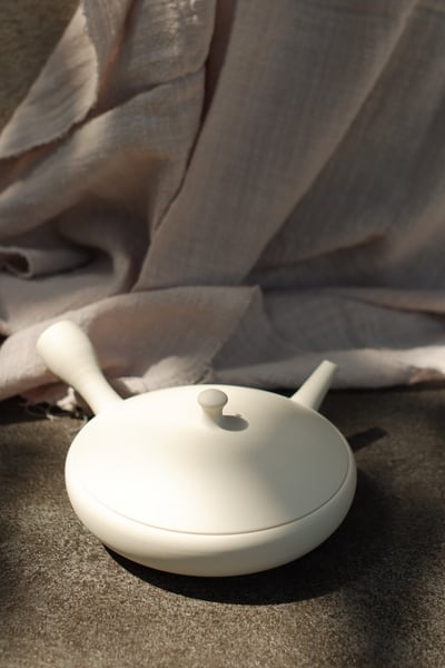 白泥極淺平急須【前川淳藏】1