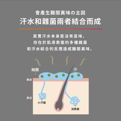 【白金級QB】不沾手抗異味體香棒 20g (腋下、足用)6