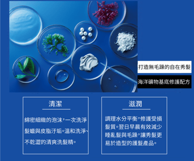 【8 THE THALASSO HOMME】自在髪型男洗潤組8