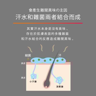 【白金級QB】集中抗異味持久體香膏6g (腋下、足用)5