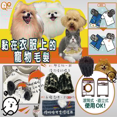 【Q-tokun】洗衣機專用寵物吸毛神球2