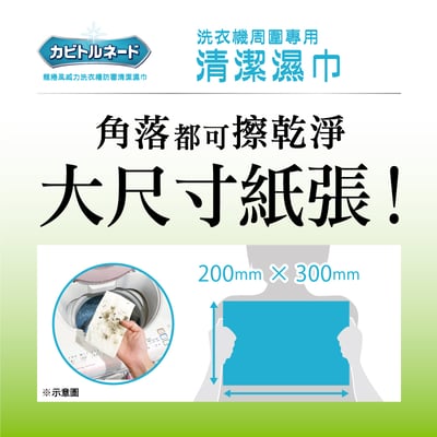 【KT】 龍捲風威力洗衣槽防霉清潔濕巾 8枚5