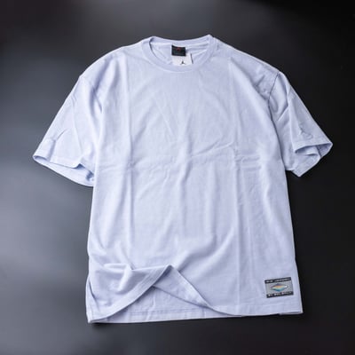 [ Air Jordan X Solefly ] T-shirt 靛色4