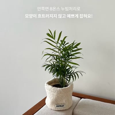 KOREA韓國代購 (Repeat選物店) 韓國盆栽套 羊毛盆栽套4