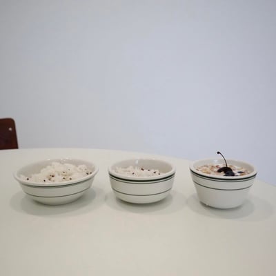 Tuxton Green Bay Jung bowl 燕麥優格碗6