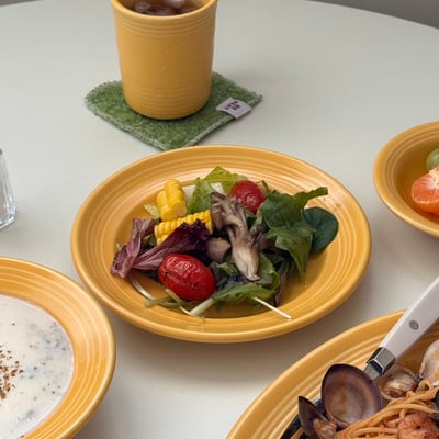 TUXTON 美國品牌 concentrix全系列12