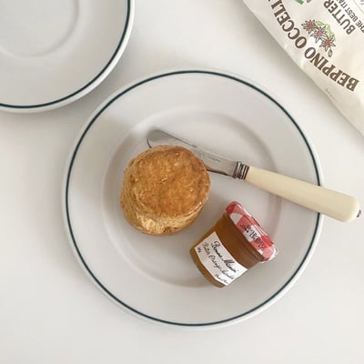 porvasal 西班牙品牌餐盤 green line10