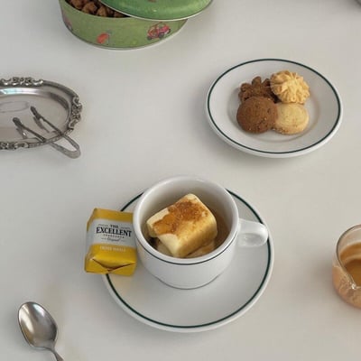 porvasal 西班牙品牌餐盤 green line7