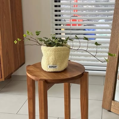 KOREA韓國代購 (Repeat選物店) 韓國盆栽套 羊毛盆栽套8