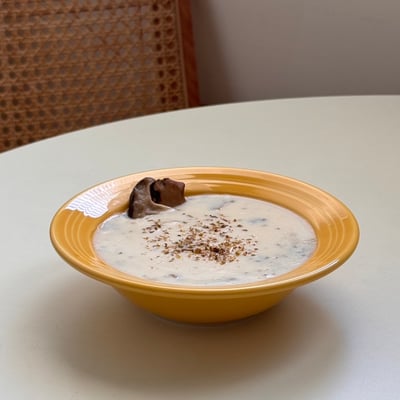 TUXTON 美國品牌 concentrix全系列11