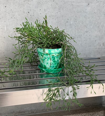 [sinon shop]32vuvu品牌色彩繽紛花盆4