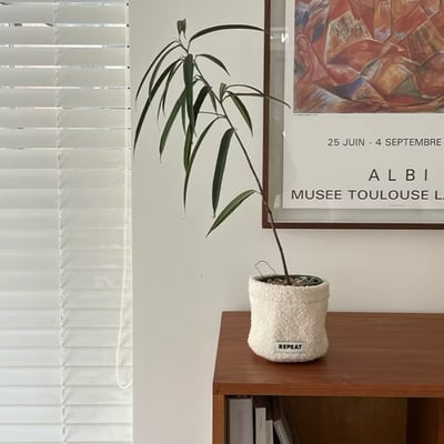 KOREA韓國代購 (Repeat選物店) 韓國盆栽套 羊毛盆栽套10