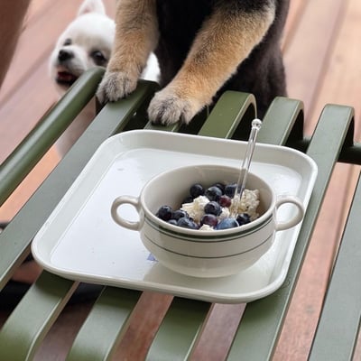 Tuxton Green Bay 雙耳碗1