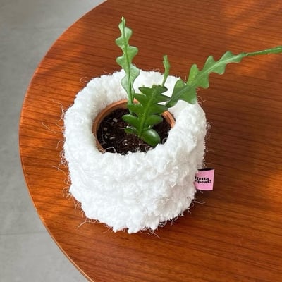 KOREA韓國代購 (Repeat選物店) 韓國盆栽套 羊毛盆栽套9