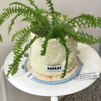 KOREA韓國代購 (Repeat選物店) 韓國盆栽套 羊毛盆栽套7