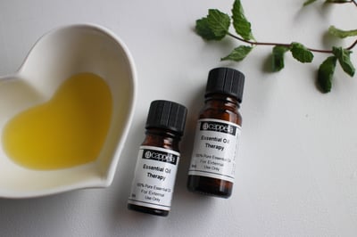 羅馬洋甘菊 Chamomile, Roman1