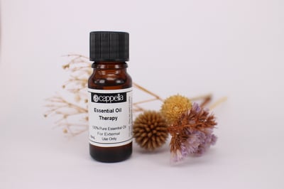 【特級限量】黃葵籽CO2精油  Ambrette Seed CO2