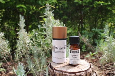 【稀有限量】岬角雪灌木精油 Cape Snowbush1