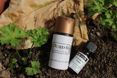 岩蘭草, 爪哇（有機/精選）Vetiver, Java1